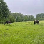 Lejlighed Carpe Deimern In Der Lueneburger Heide *