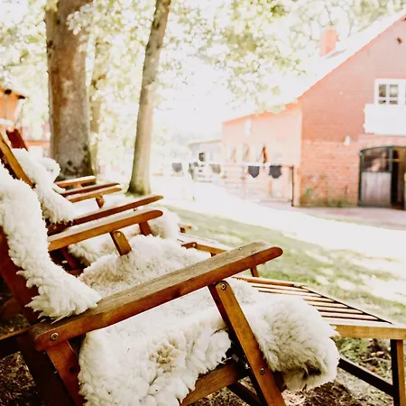 Traumferienwohnung In Der Lüneburger Heide Soltau