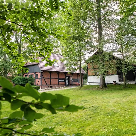 Carpe Deimern In Der Lueneburger Heide