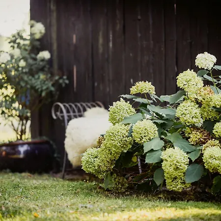 아파트 Carpe Deimern In Der Lueneburger Heide 졸타우