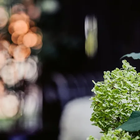 Carpe Deimern In Der Lueneburger Heide *