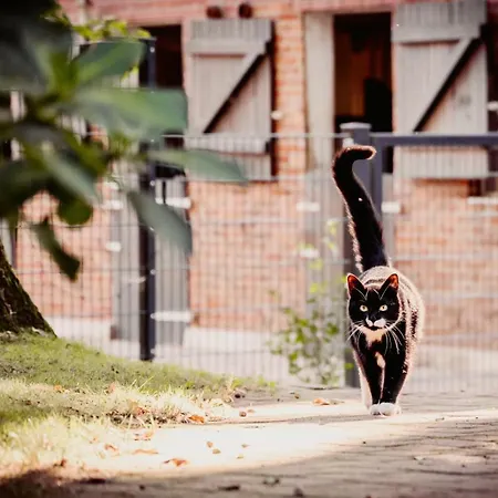 Apartmán Carpe Deimern In Der Lueneburger Heide