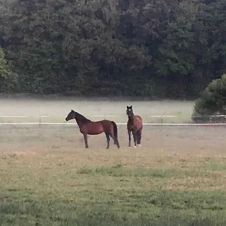 Apartman Carpe Deimern In Der Lueneburger Heide *