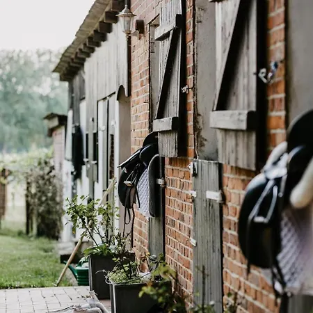 Carpe Deimern In Der Lueneburger Heide 졸타우