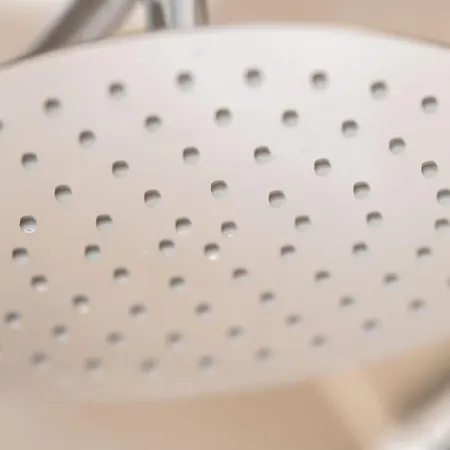 Carpe Deimern In Der Lueneburger Heide