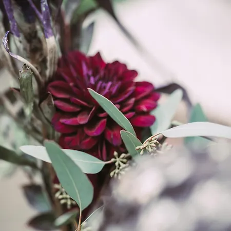 Carpe Deimern In Der Lueneburger Heide Apartman