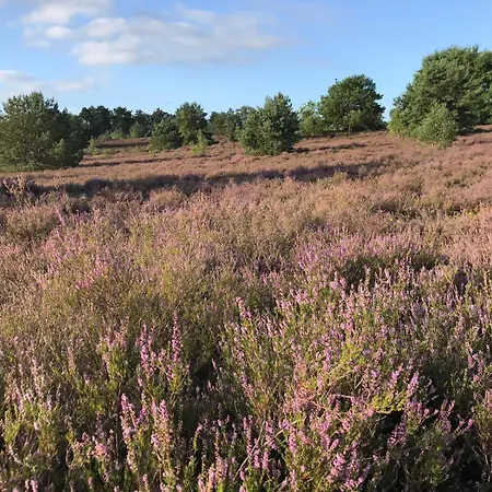 아파트 Carpe Deimern In Der Lueneburger Heide *