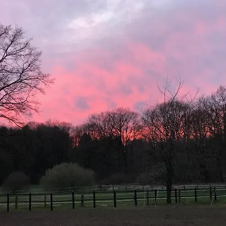 Carpe Deimern In Der Lueneburger Heide * Soltau