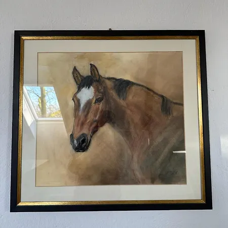 Apartman Carpe Deimern In Der Lueneburger Heide *