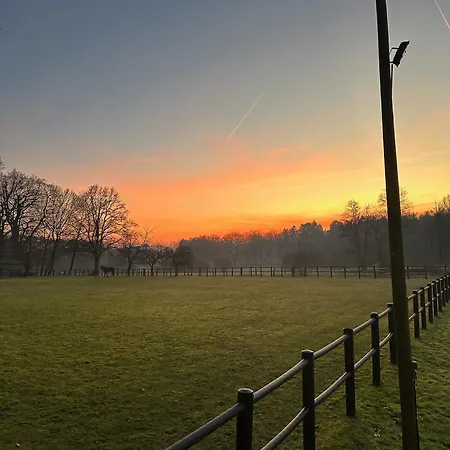 Carpe Deimern In Der Lueneburger Heide