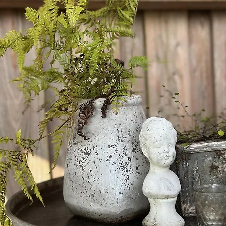 Carpe Deimern In Der Lueneburger Heide 아파트 졸타우