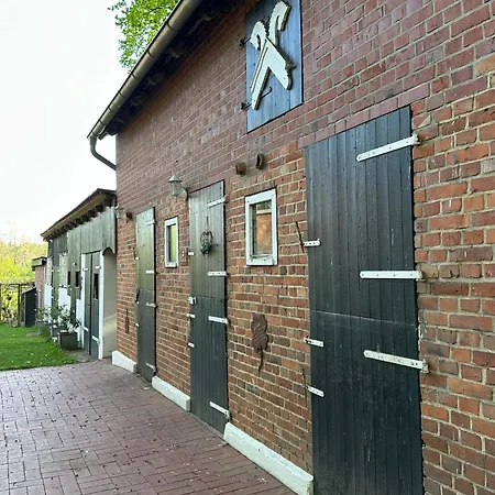 Carpe Deimern In Der Lueneburger Heide *