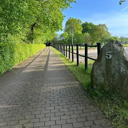 Carpe Deimern In Der Lueneburger Heide