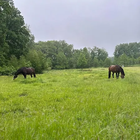 Apartmán Carpe Deimern In Der Lueneburger Heide *
