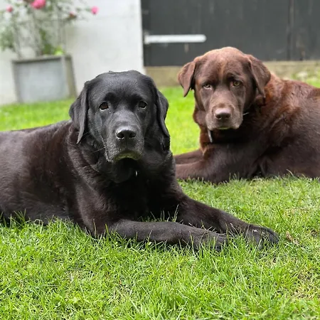 Apartman Carpe Deimern In Der Lueneburger Heide Soltau