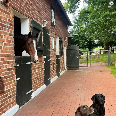 Carpe Deimern In Der Lueneburger Heide *